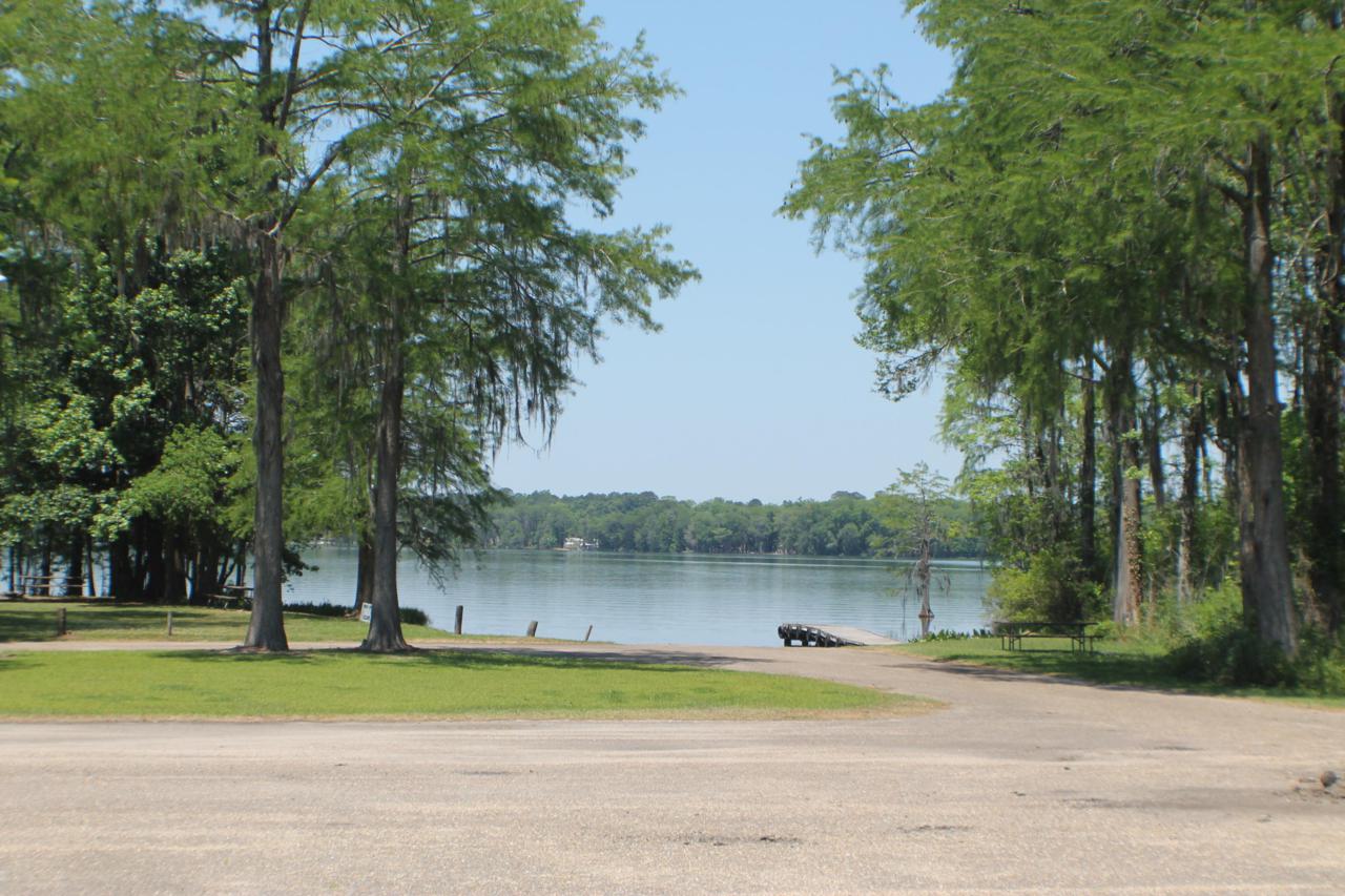 23515 Lake Shore Drive - Photo 1