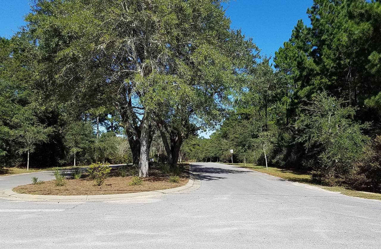 LOT #24 Pinot Way - Photo 1