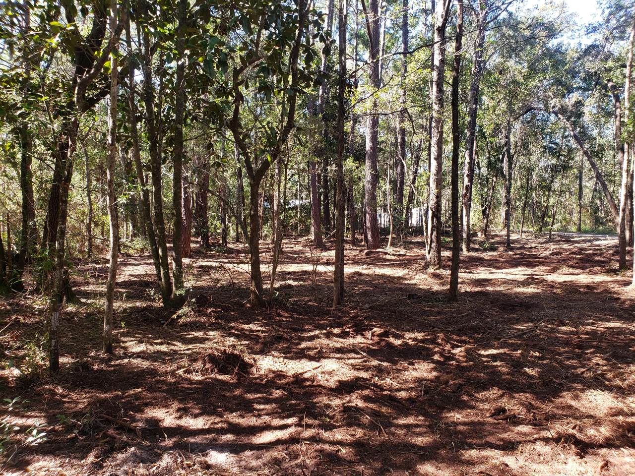 Lot 5 Wilson Way - Photo 1