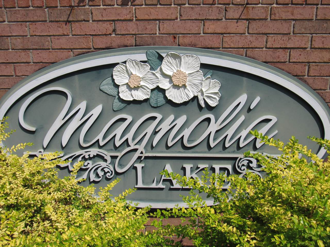 Lot 48A Magnolia Lake Drive - Photo 1