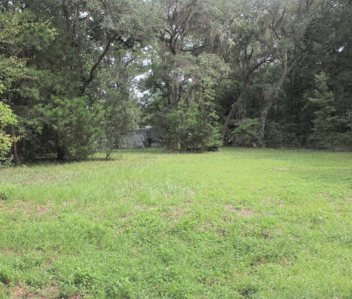 679 Persimmon Street - Photo 1