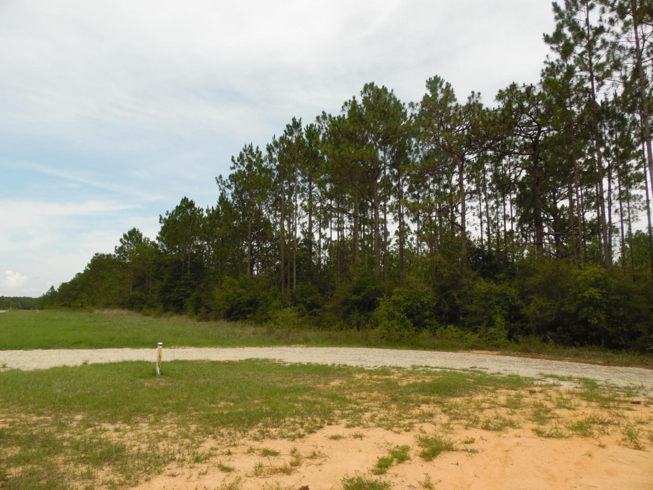 10 acres Michigan Lane - Photo 1