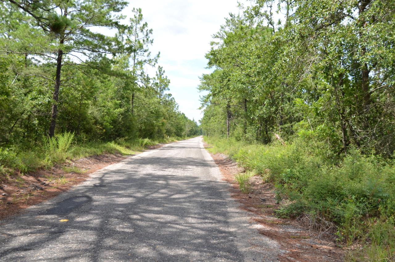 TBD Watson Road - Photo 1