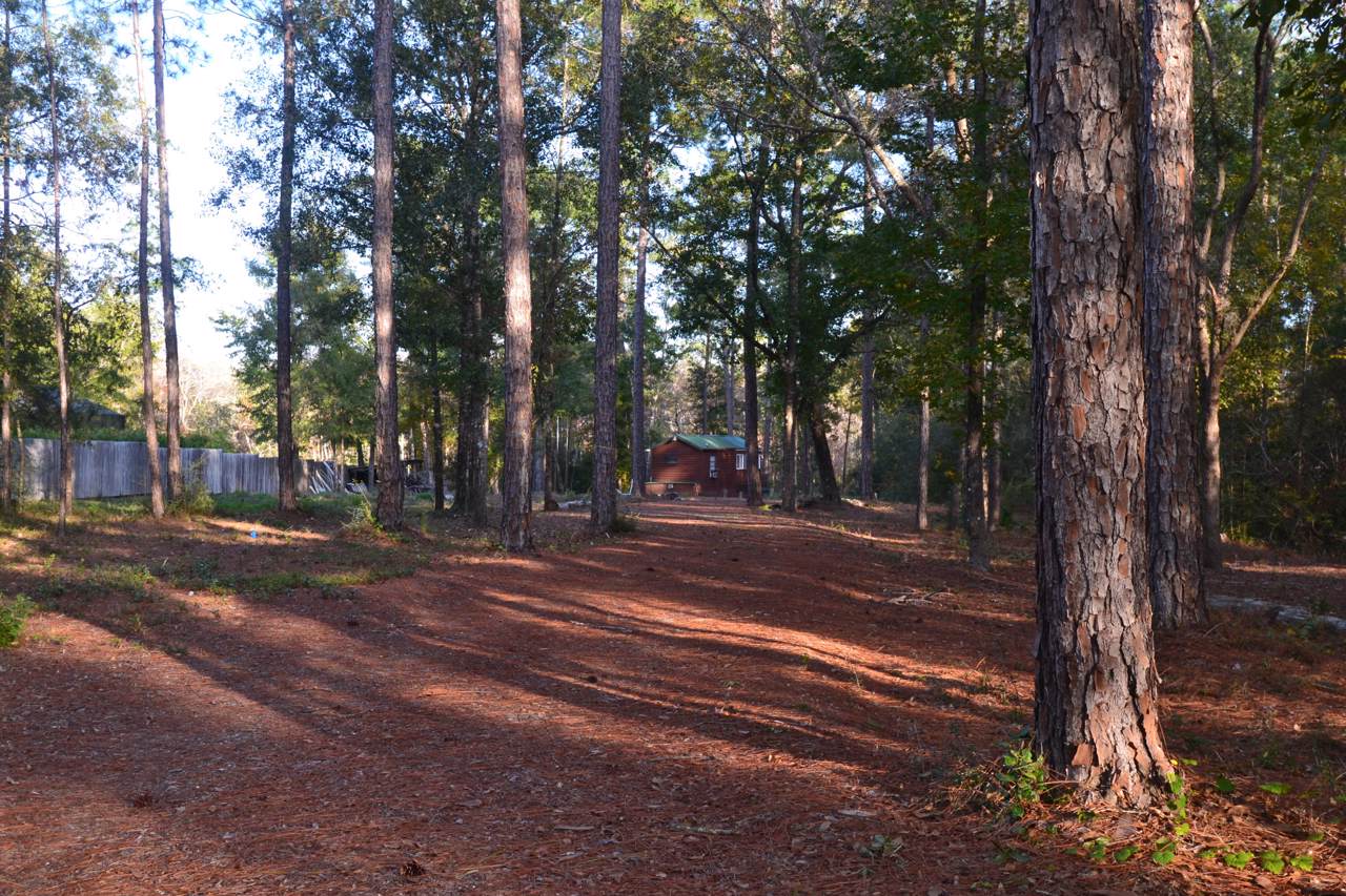 422 Phillips Drive - Photo 1