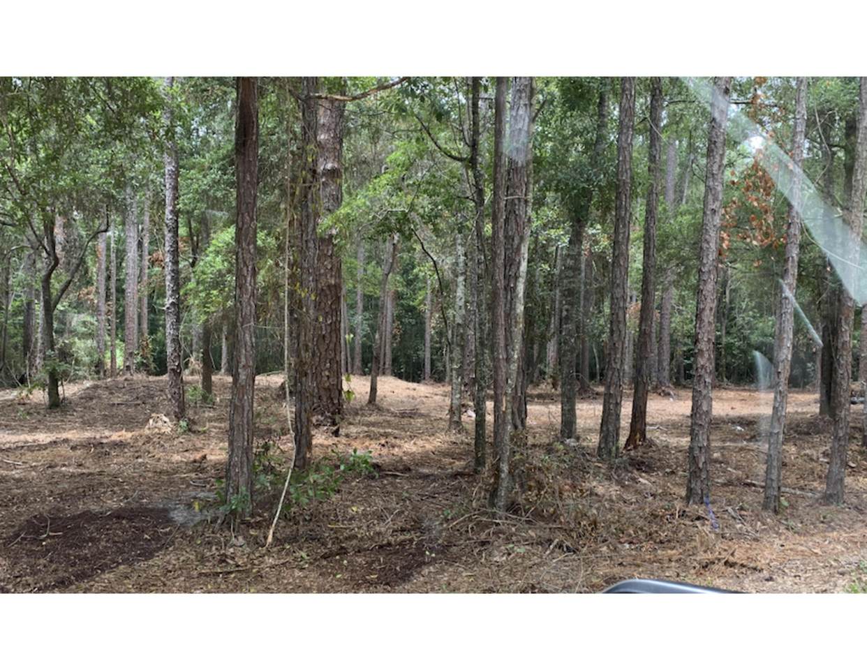 Lot 16a Osprey Cove Lane - Photo 1