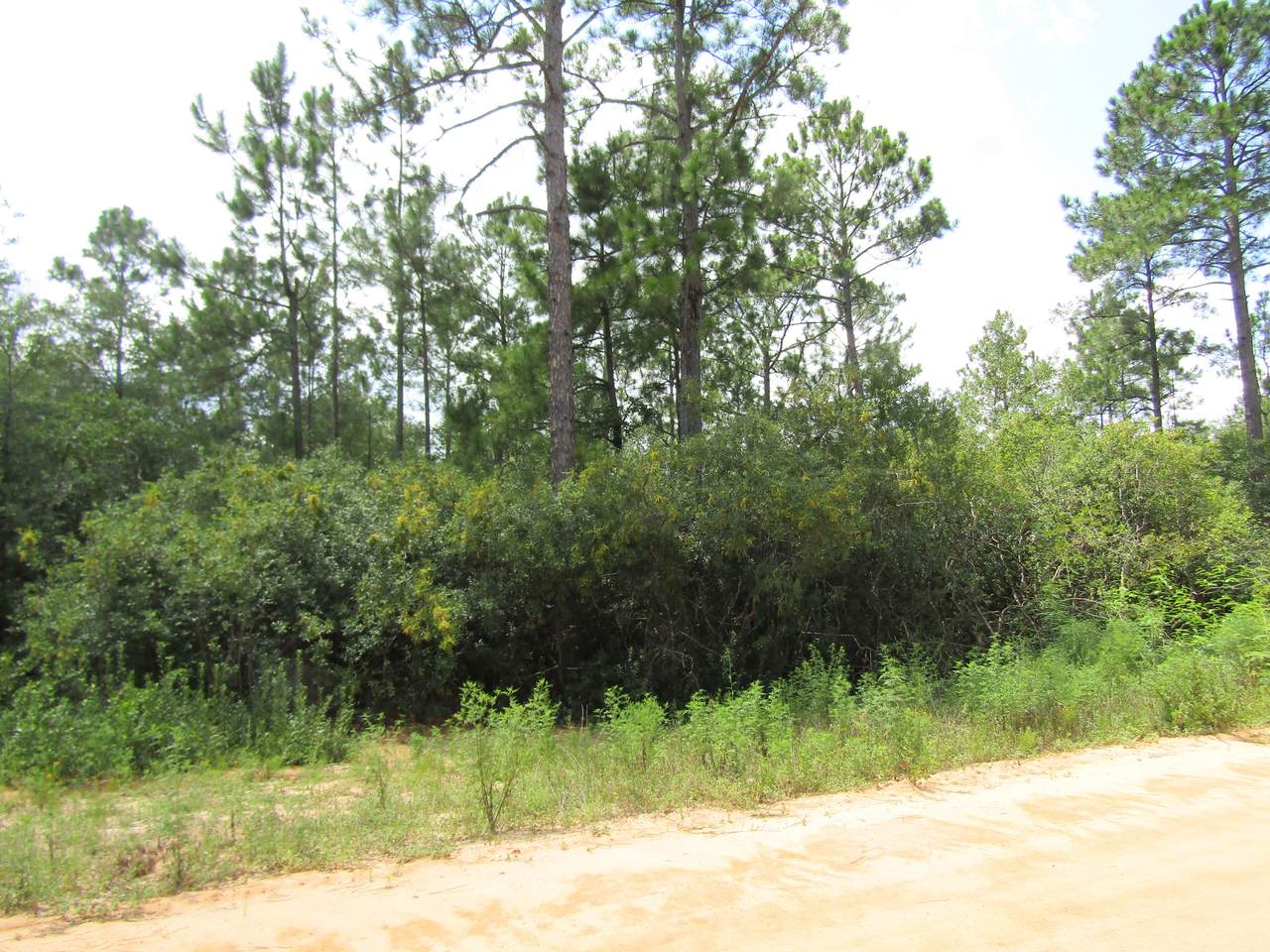 LOT 9 Juniper Avenue - Photo 1