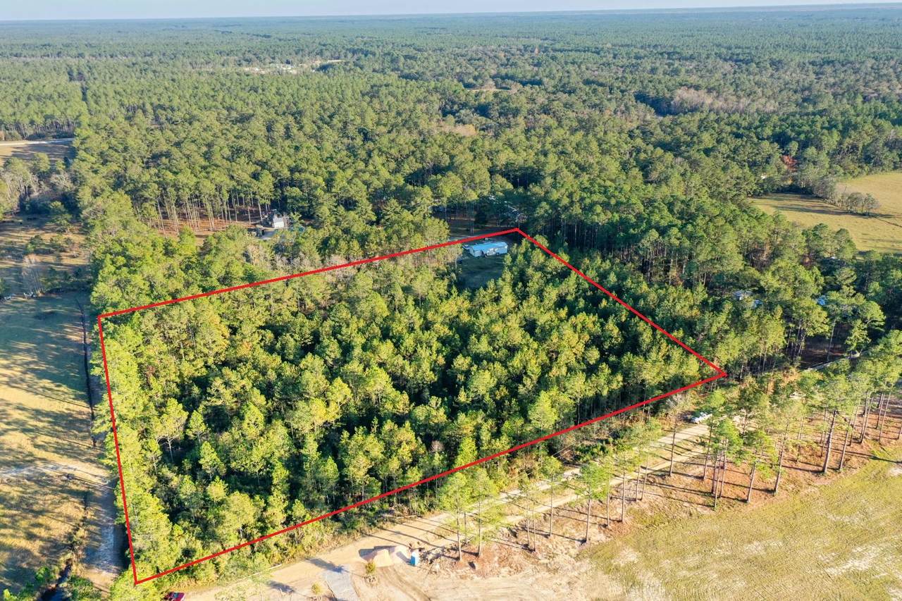 215 Weed Patch Drive - Photo 1