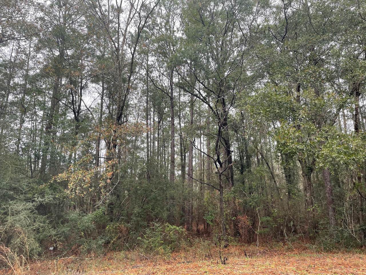 LOT 50 Country Manor Road - Photo 1