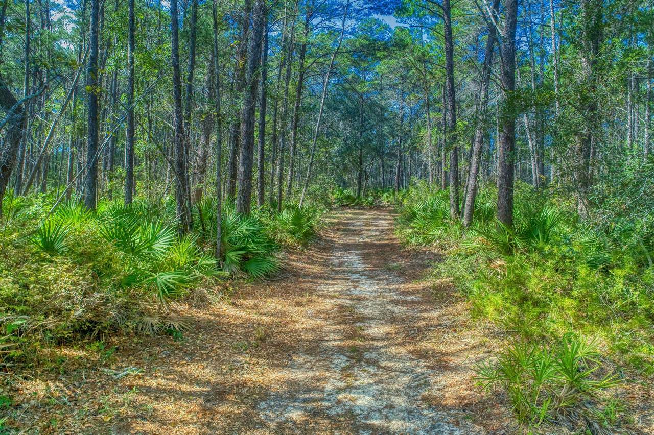 461 Don Bishop Road - Photo 1