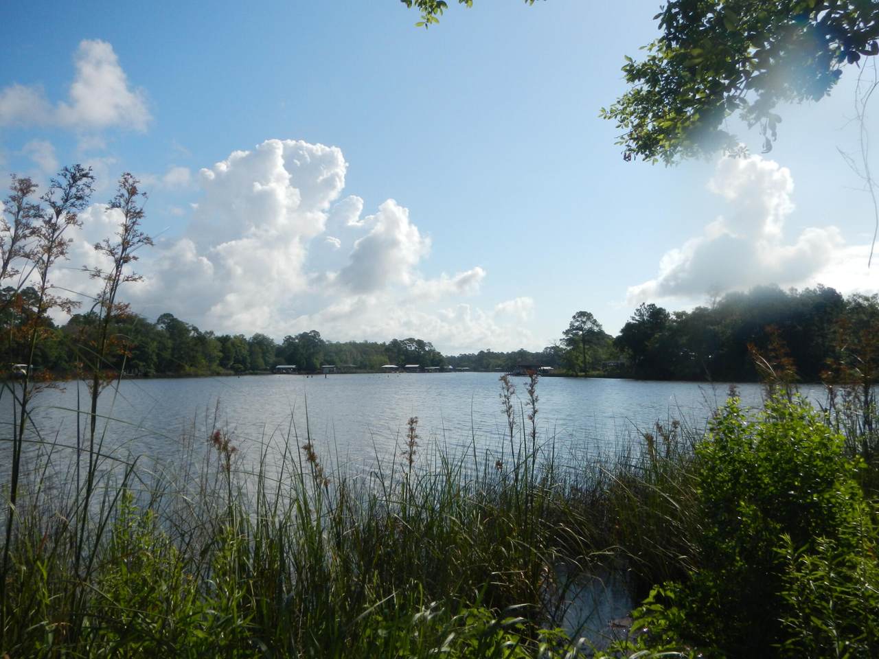 0 Bay Grove Road - Photo 1
