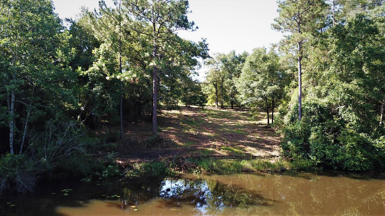5818 Lake Drive - Photo 1