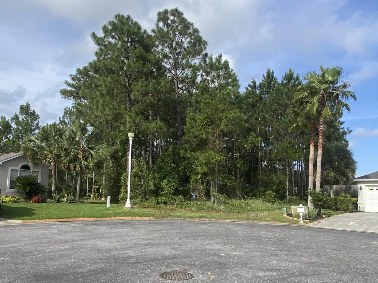 8966 Ellen Court - Photo 1