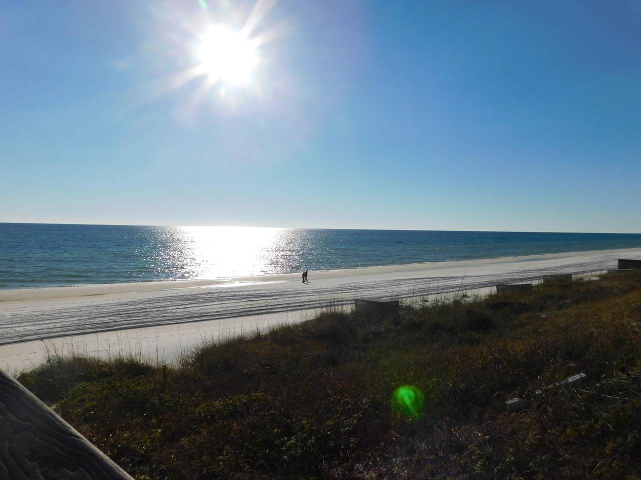 Lot 20 Walton Rose Lane - Photo 1
