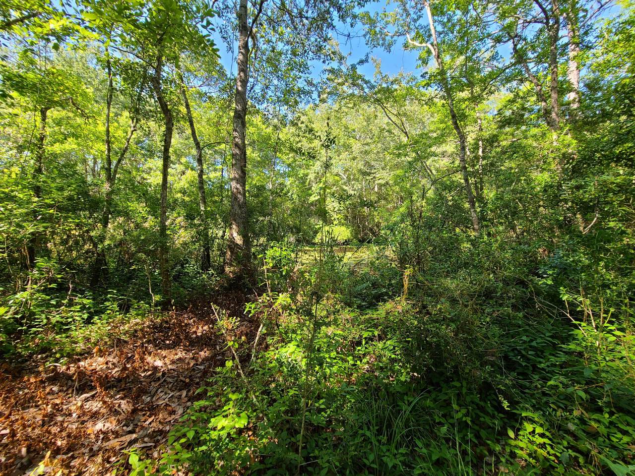LOT 14 Alaqua Cove Road - Photo 1