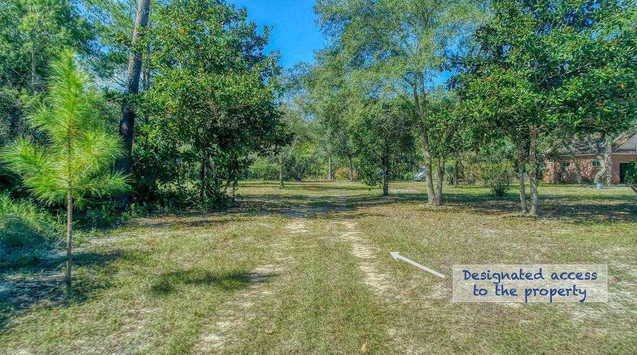 461 Don Bishop Road - Photo 1