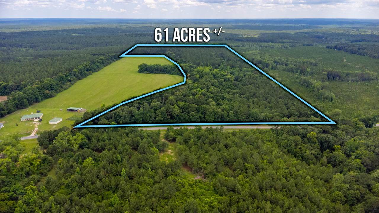 61.85 Acre Highway 602 - Photo 1
