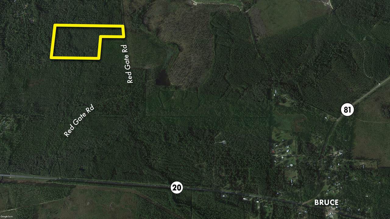 34+ Acres Red Gate Road - Photo 1