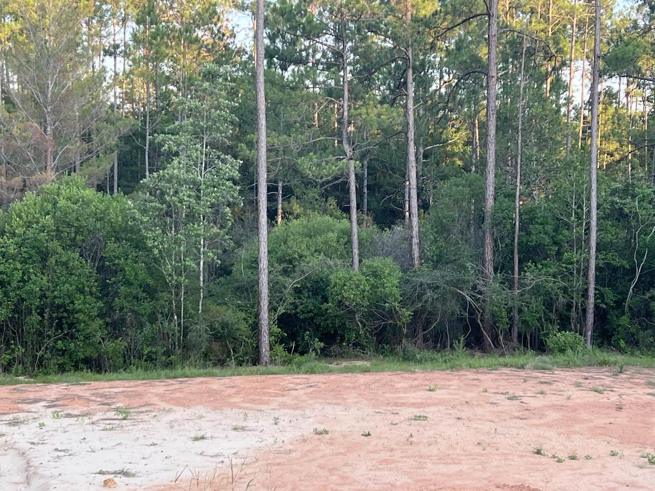 TBD Eagle Way - Photo 1
