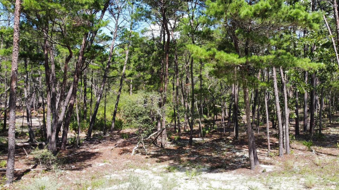 1738 Lost Cove Lane - Photo 1