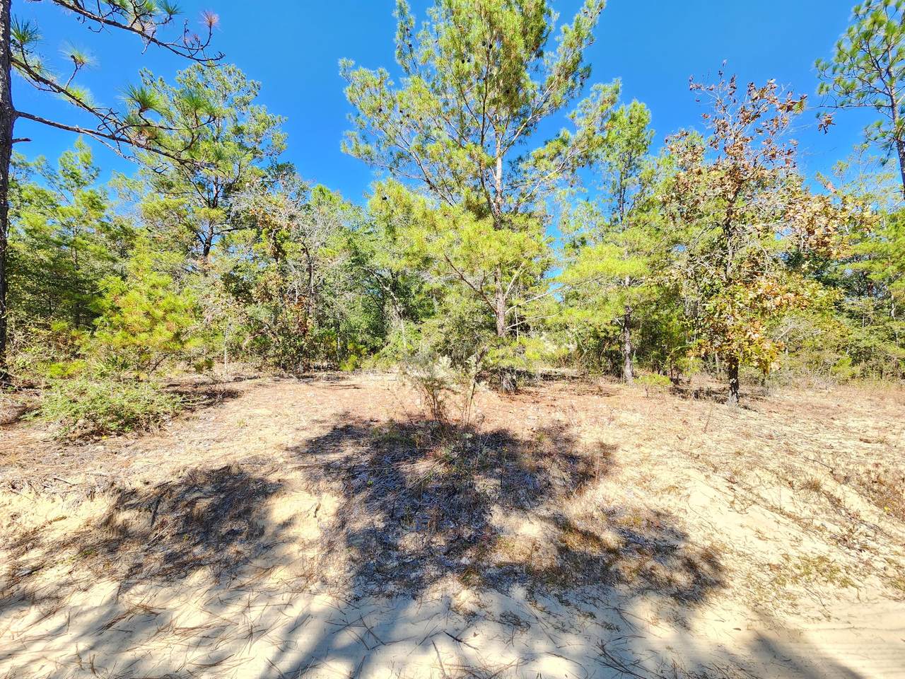 Lot 9 Big Cypress Drive - Photo 1