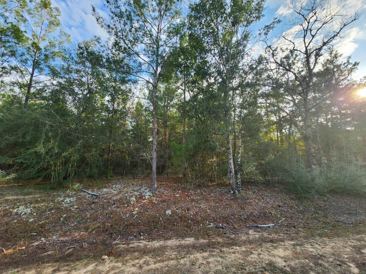 Lots 2-3 Oakwood Lakes Boulevard - Photo 1