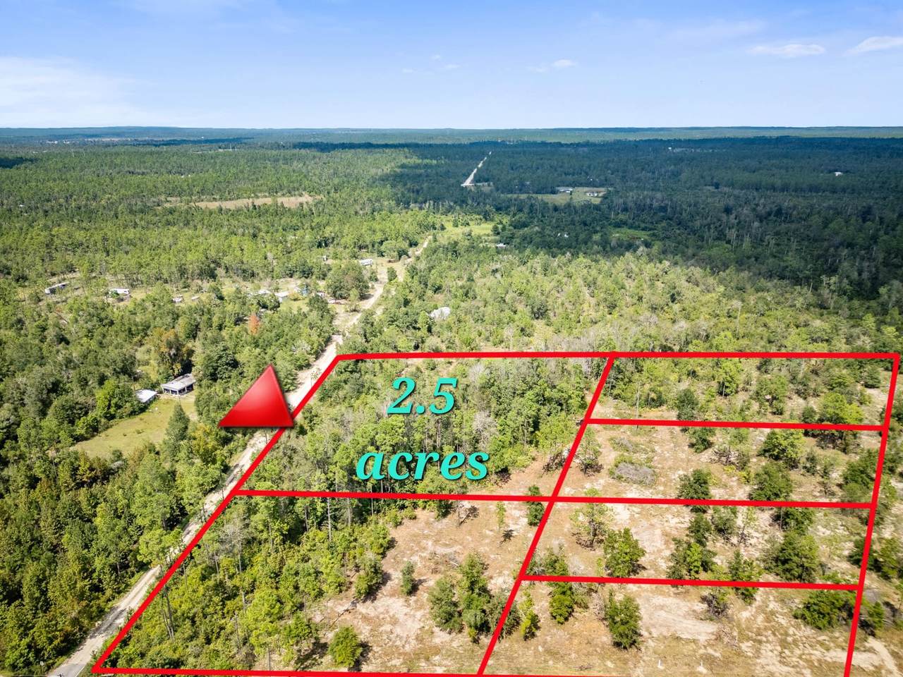 1462 Lake Lillian Road - Photo 1