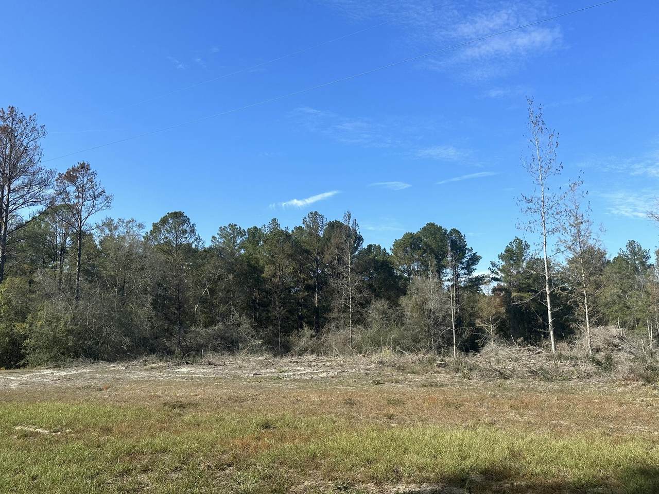 Tract#6201 County Hwy 181 - Photo 1