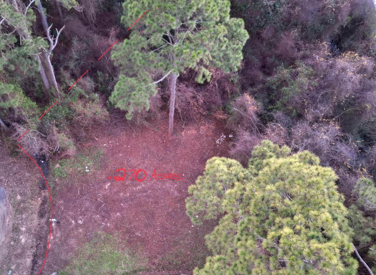 2359 Belmont Drive - Photo 1