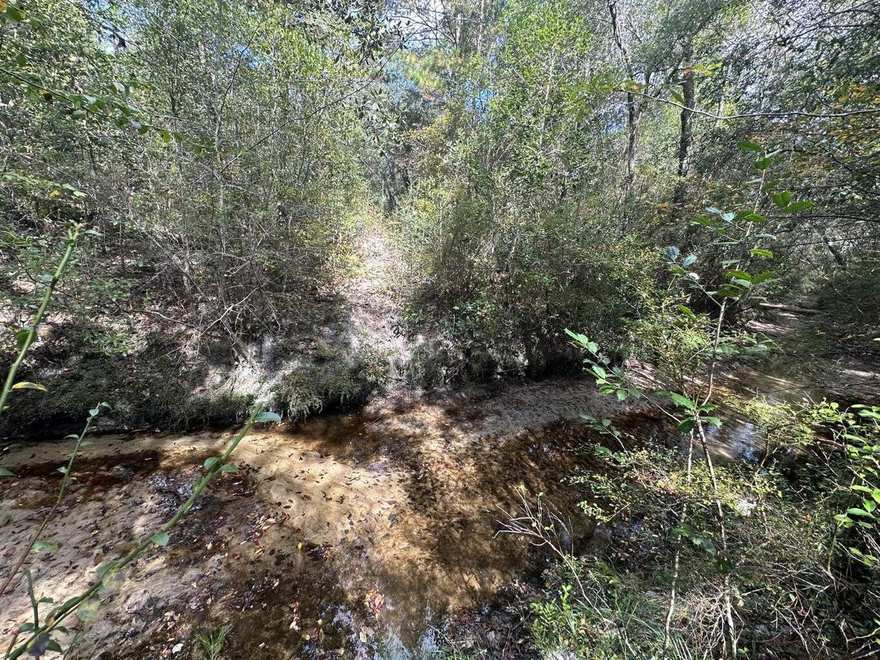 40 AC Lacey Lane - Photo 1