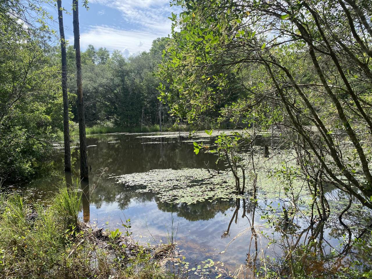 20 acres Canyon Trail - Photo 1