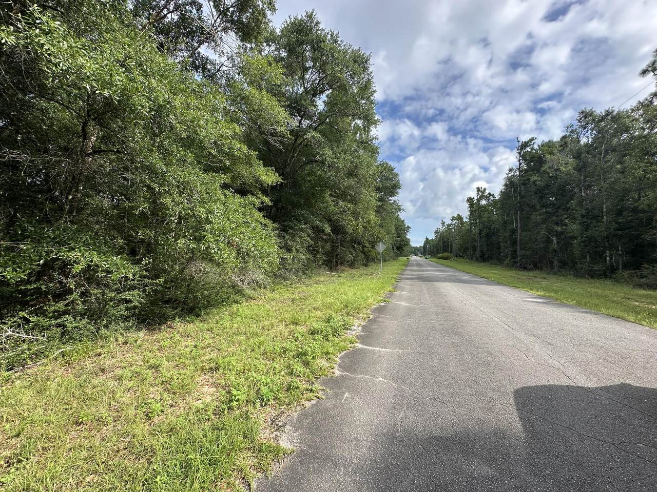 5 Lots Pineforest/Woodcliff/Oakcrest - Photo 1