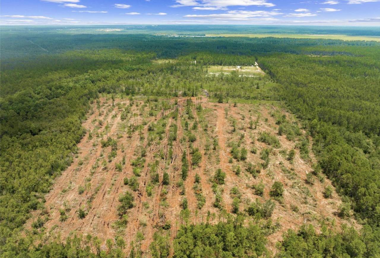 1628 Joe Dugger Road - Photo 1