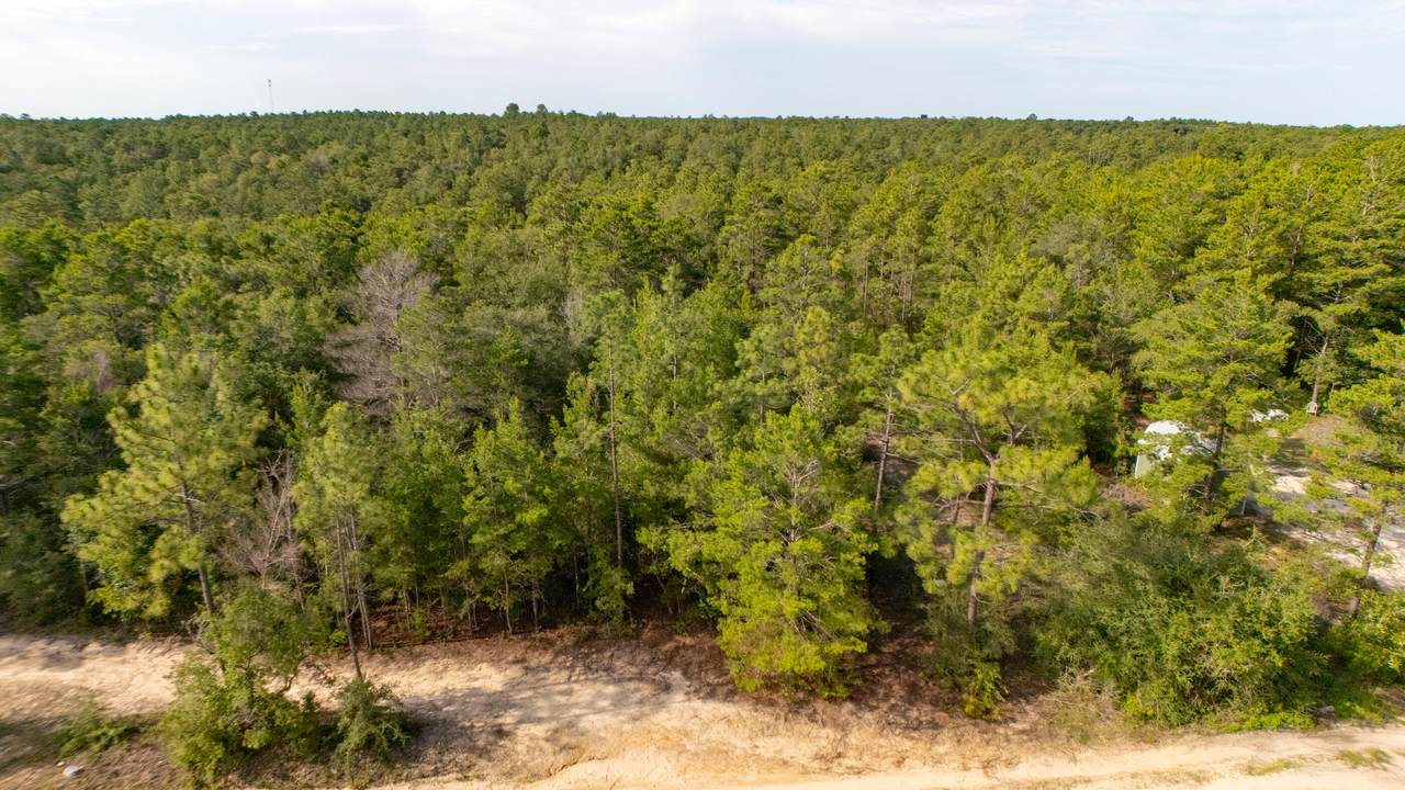 Lots 7-10 Tarpon Lane - Photo 1
