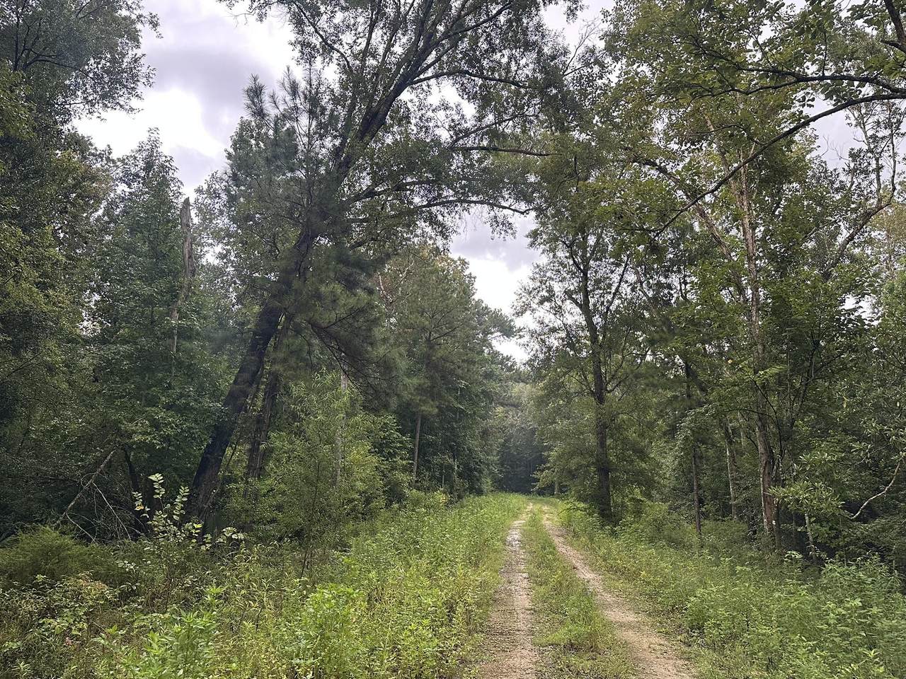 TBD Cr 381 - Photo 1