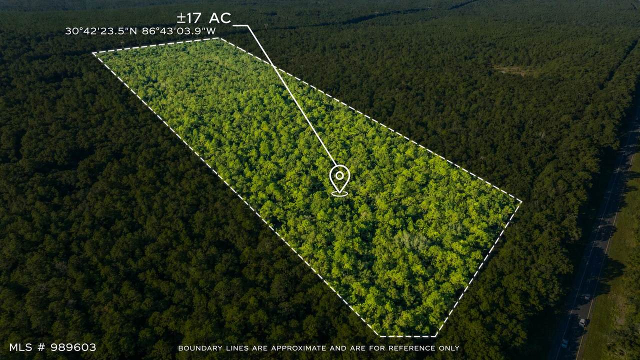17 Acres Lyons Place - Photo 1