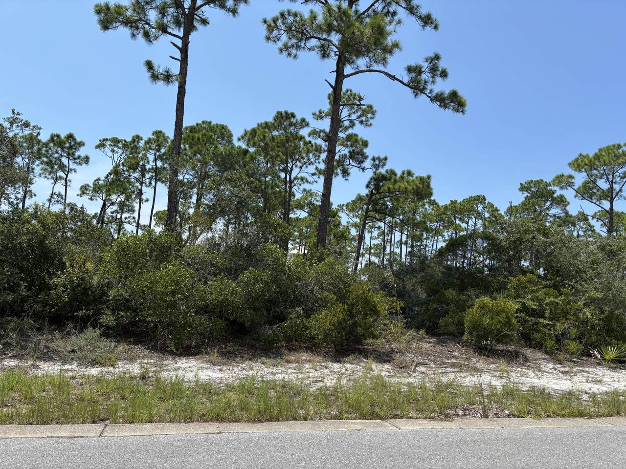 207 Signal Lane - Photo 1