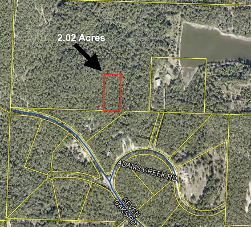 22 Acres - Photo 1