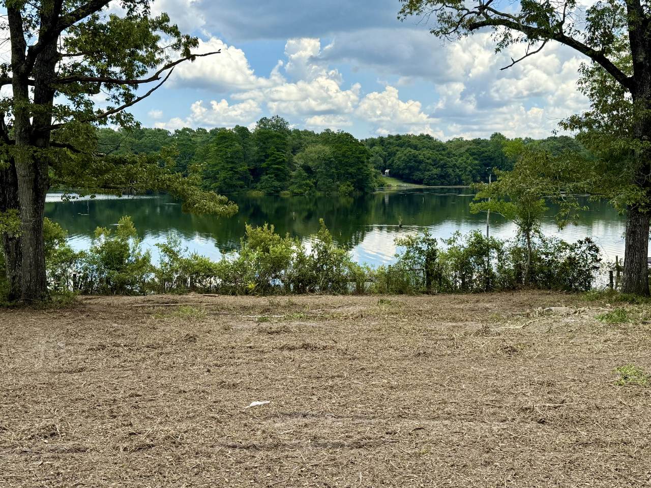 Lots 15/16 Blue Gill Loop - Photo 1