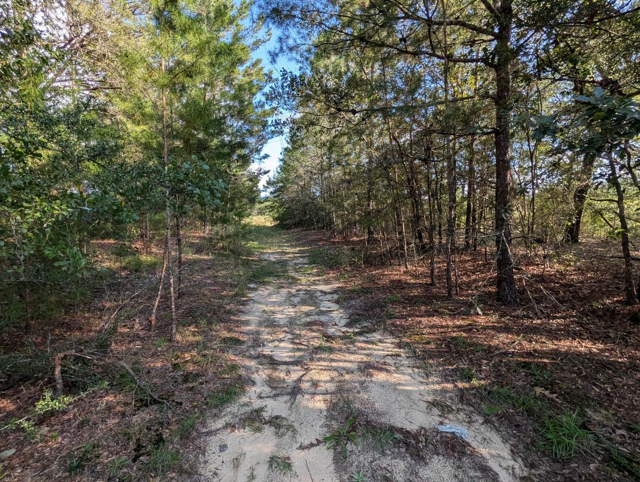 TBD Willow Bend Drive - Photo 1