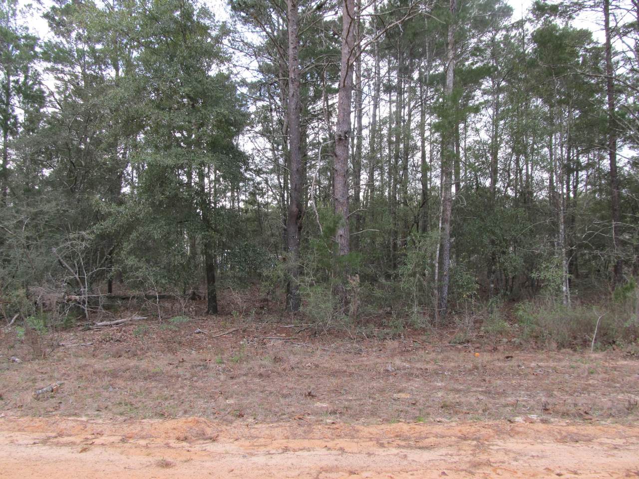 Lot 6 Jonquil West Avenue - Photo 1