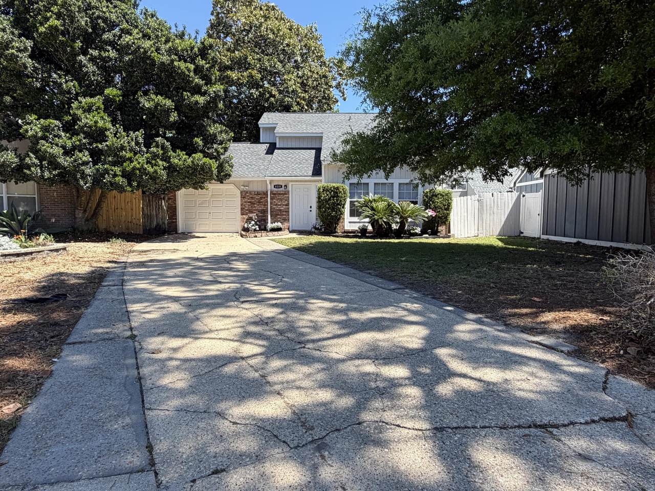 409 Adam Street - Photo 1