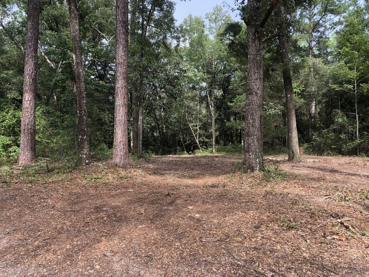 173 Tubbs Lane - Photo 1