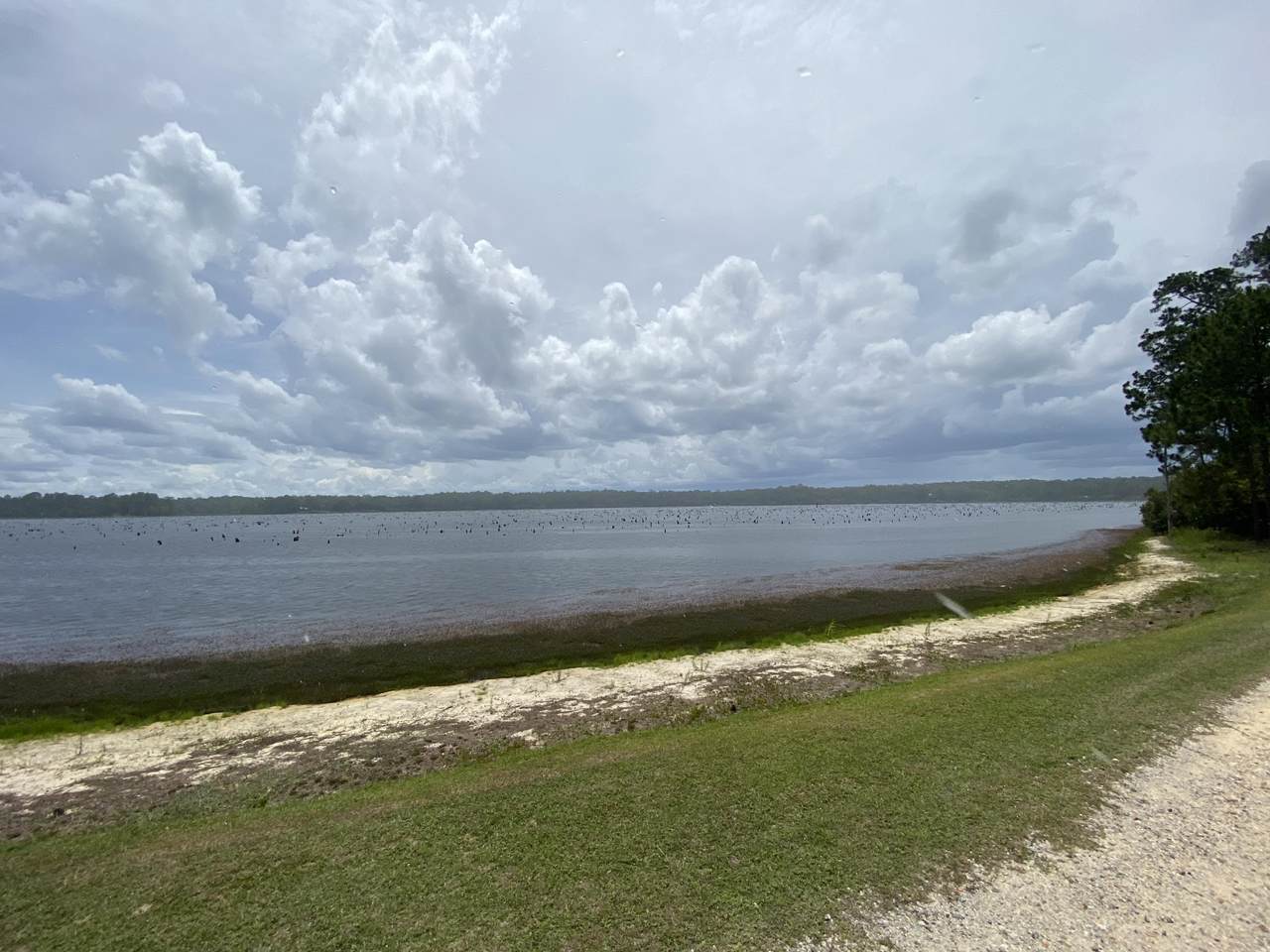 XXX Cat Island Road - Photo 1