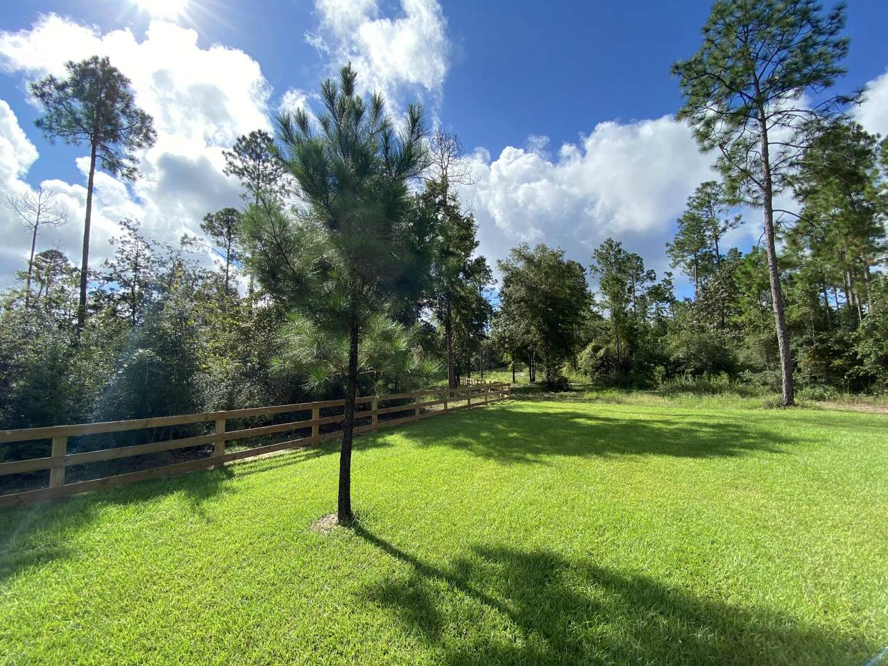 116+/- AC Caveman Road - Photo 1