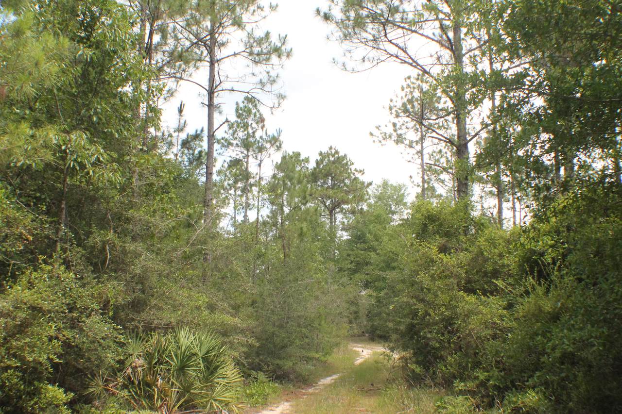 74+/- AC Lake Silver Road - Photo 1