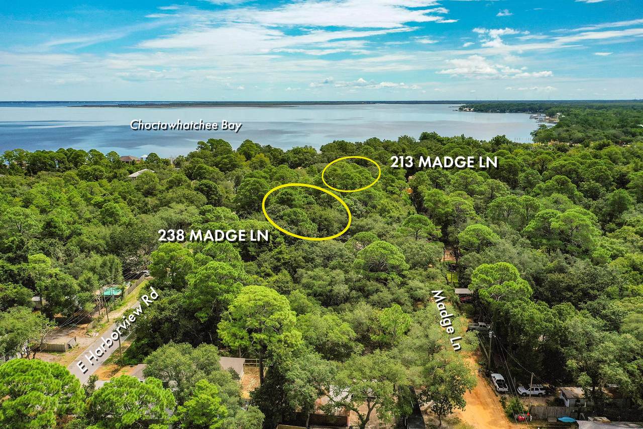 238 Madge Lane - Photo 1