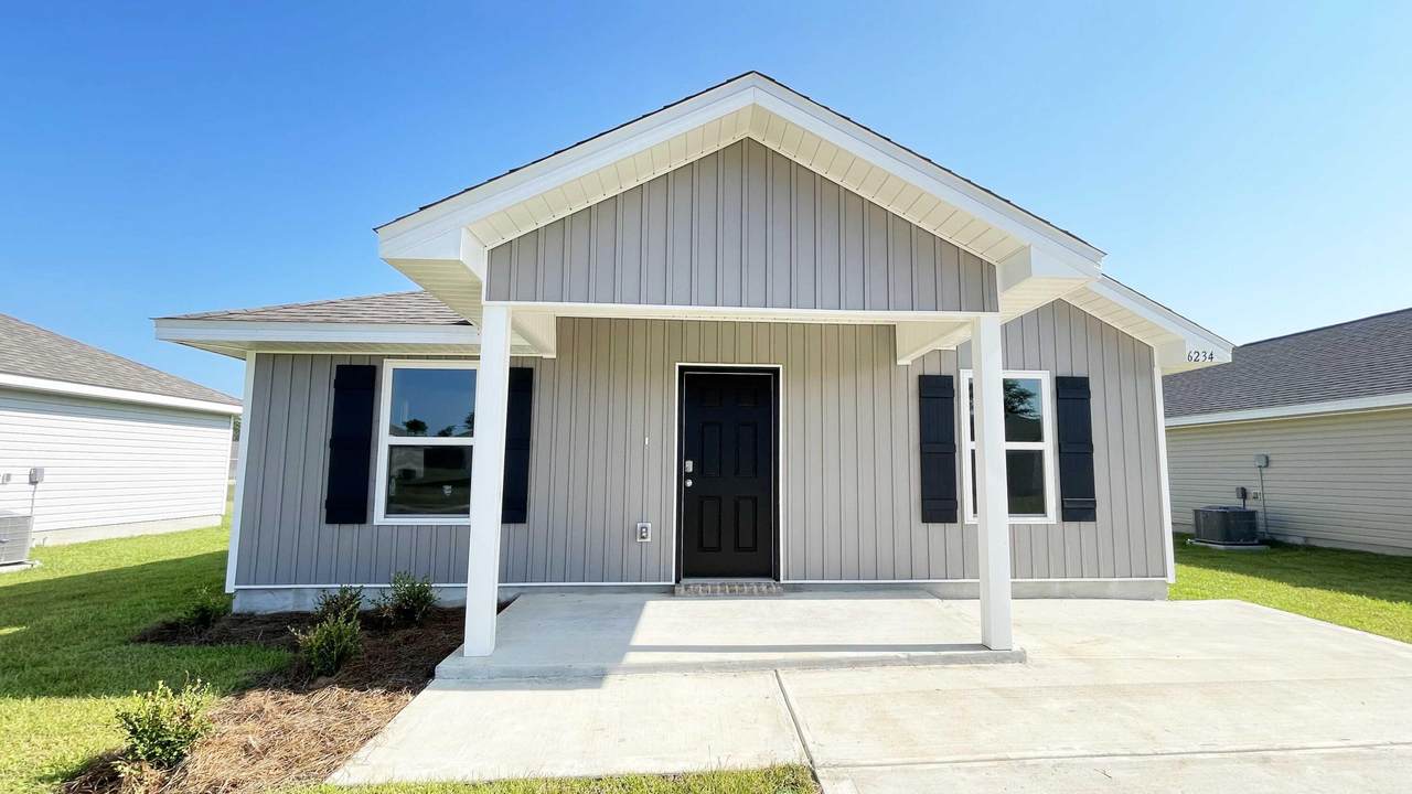 6234 June Bug Drive - Photo 1