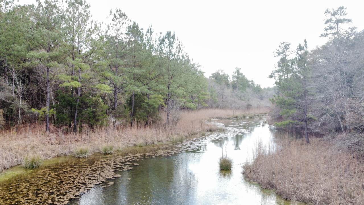79 Acres Bucking Up Road - Photo 1