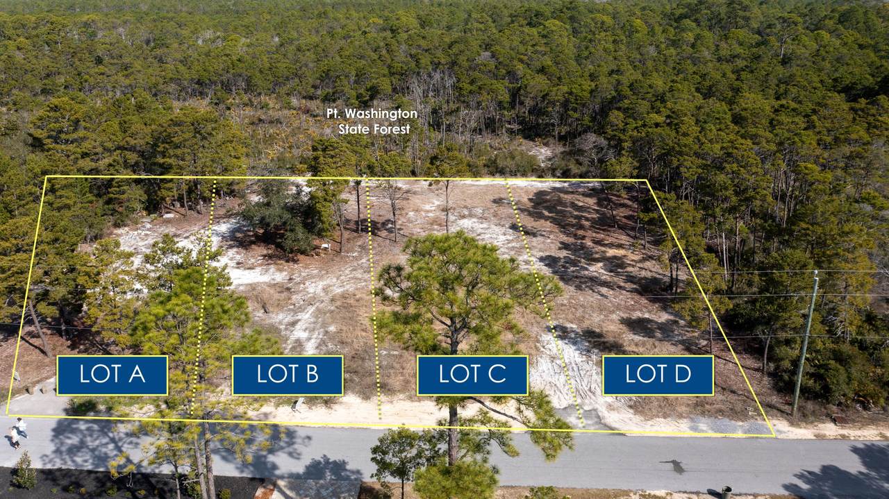 TBD Parcel D Lee Place Place - Photo 1