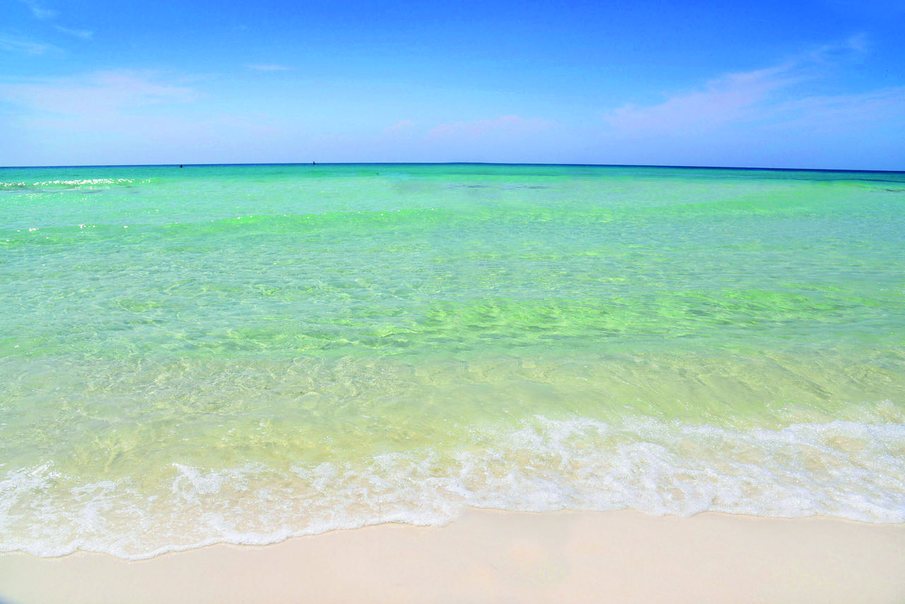 206 Henderson Resort Way - Photo 1